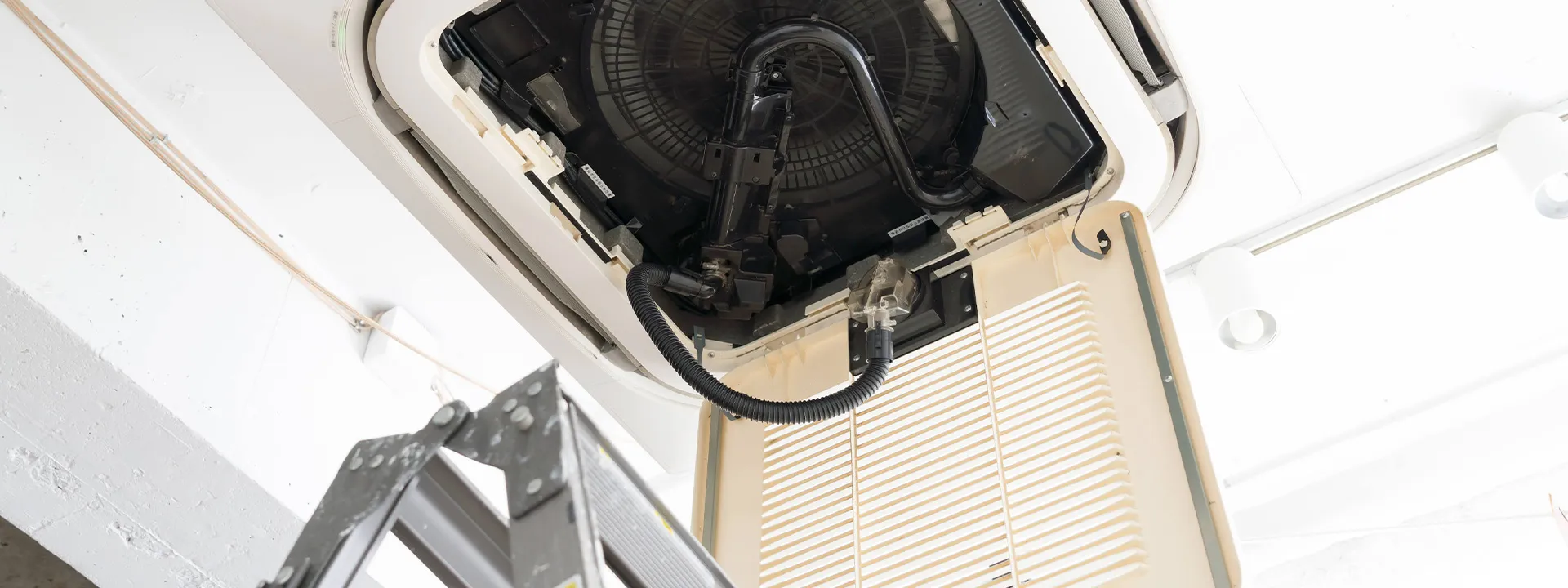 株式会社A・R・A